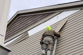 Best Storm Damage Siding Repair  in Warren, IL